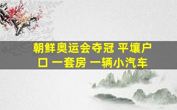 朝鲜奥运会夺冠 平壤户口 一套房 一辆小汽车